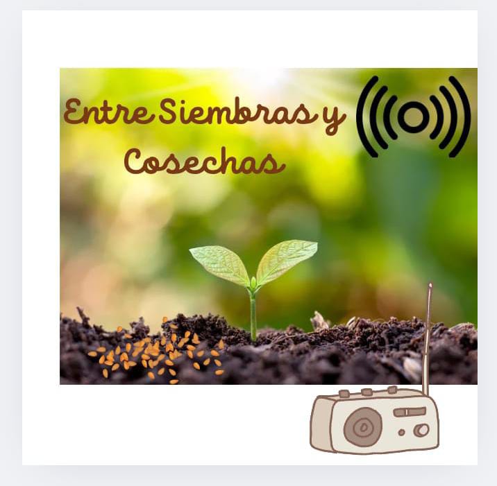 ENTRE SIEMBRAS Y COSECHAS.jpg